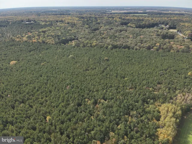 an aerial view of mountain with trees