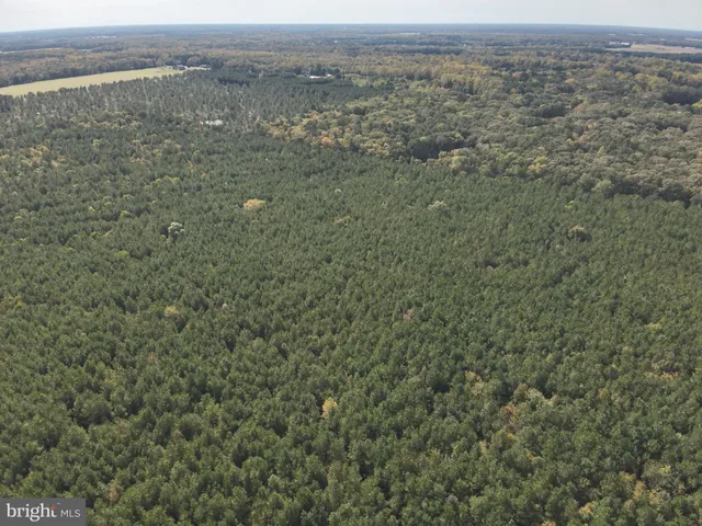 a view of a field with an ocean view