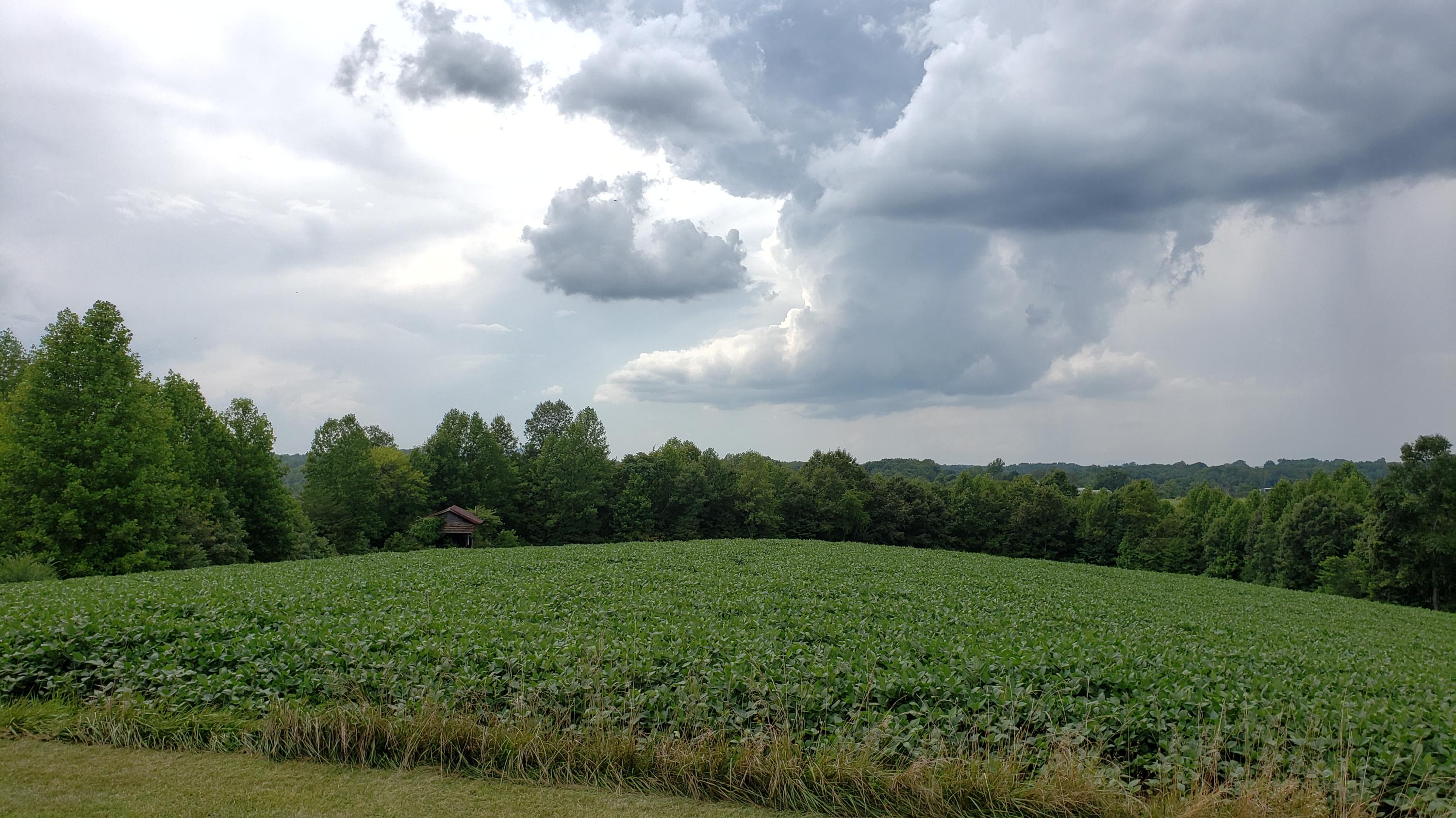 318 Laprade Mill Road Penhook, VA 24137 - Photo 18 of 23 20190801_153639