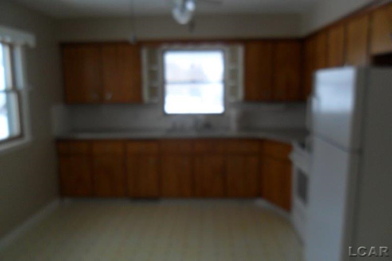 131 Raisin Street Deerfield, MI 49238 - Photo 15 of 27 31232234-14.JPG