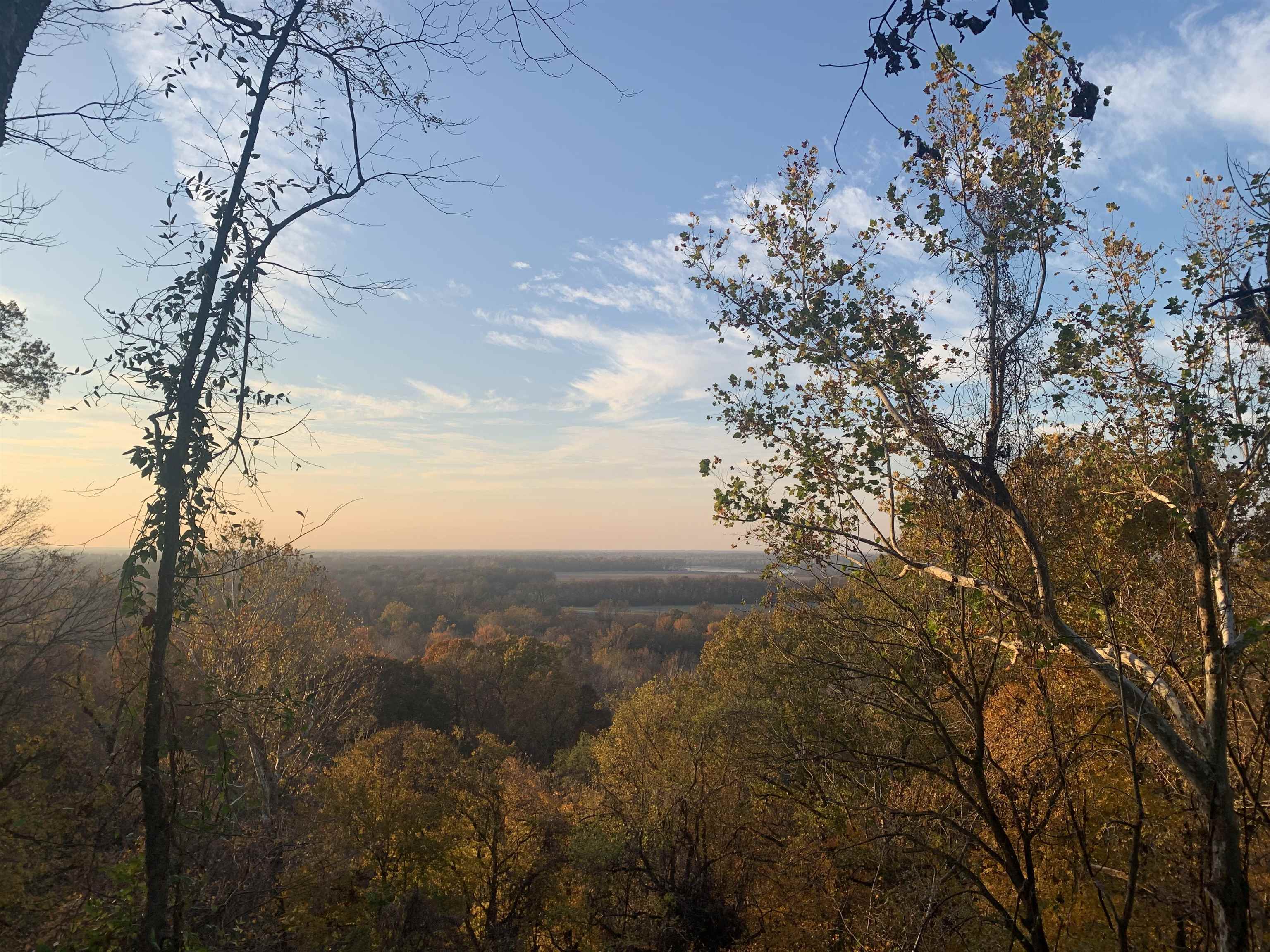 Ray Bluff Road Millington, TN 38053 - Photo 1 of 40 Gallery Image 1
