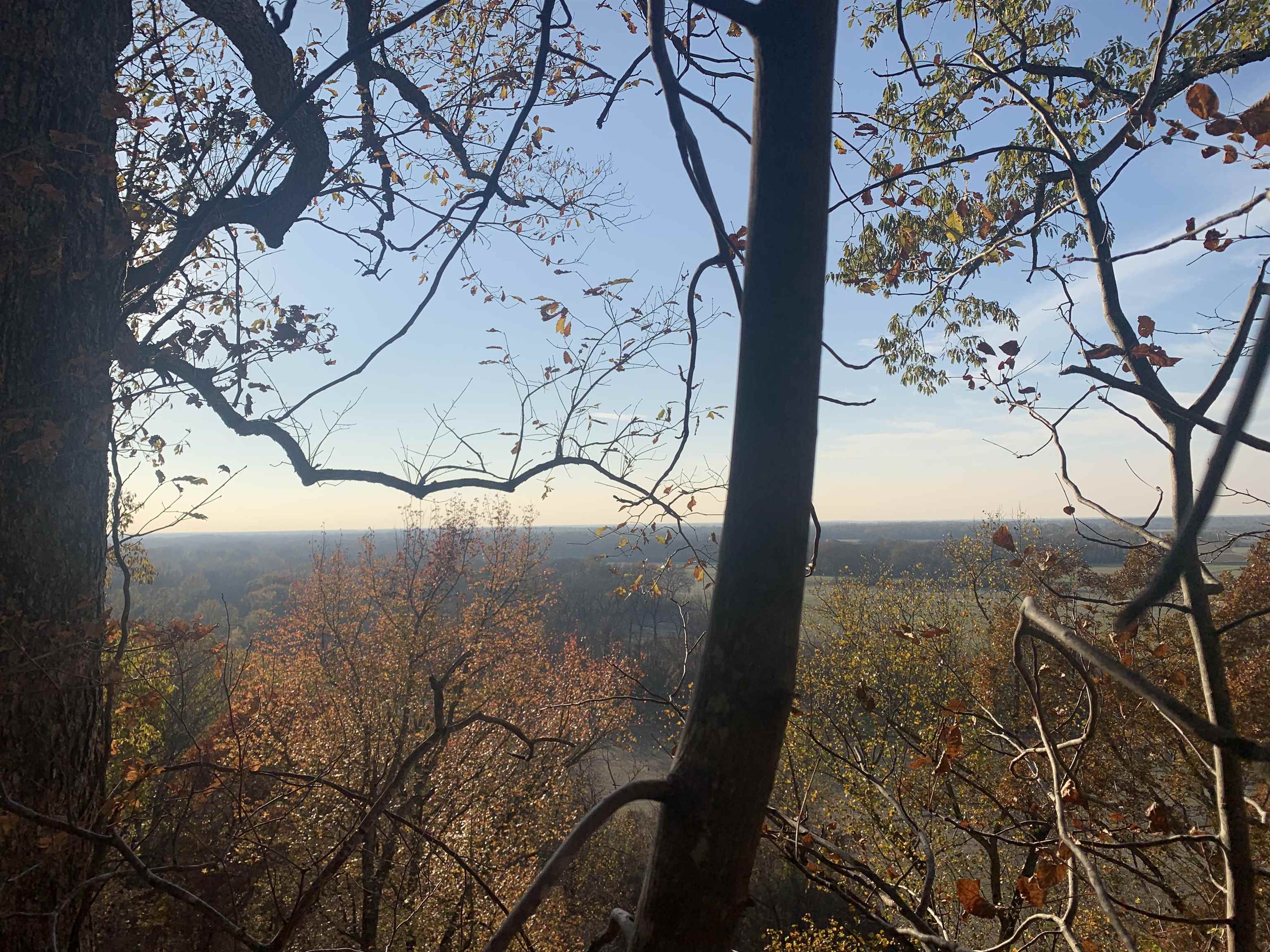 Ray Bluff Road Millington, TN 38053 - Photo 11 of 40 Gallery Image 11