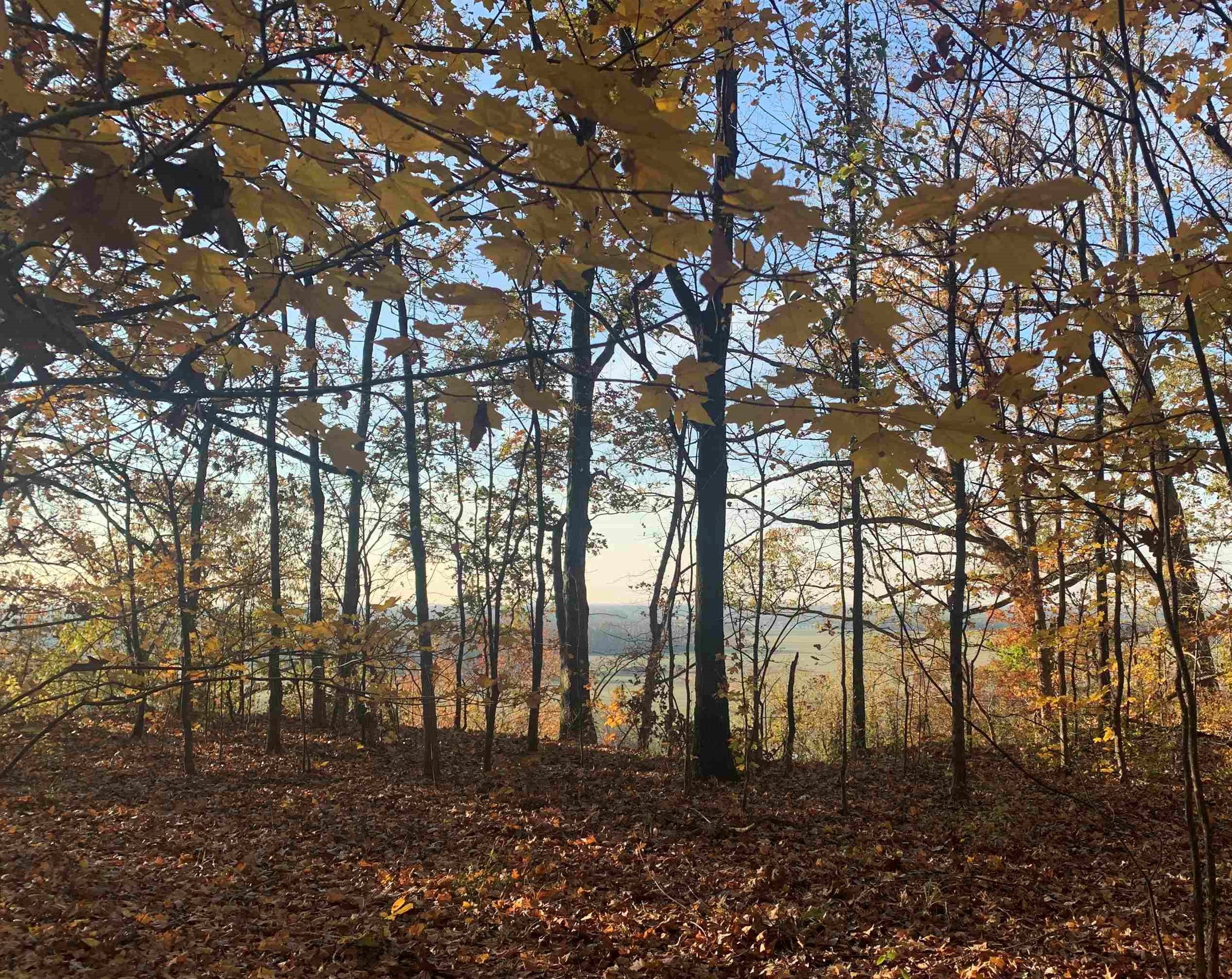 Ray Bluff Road Millington, TN 38053 - Photo 13 of 40 Gallery Image 13