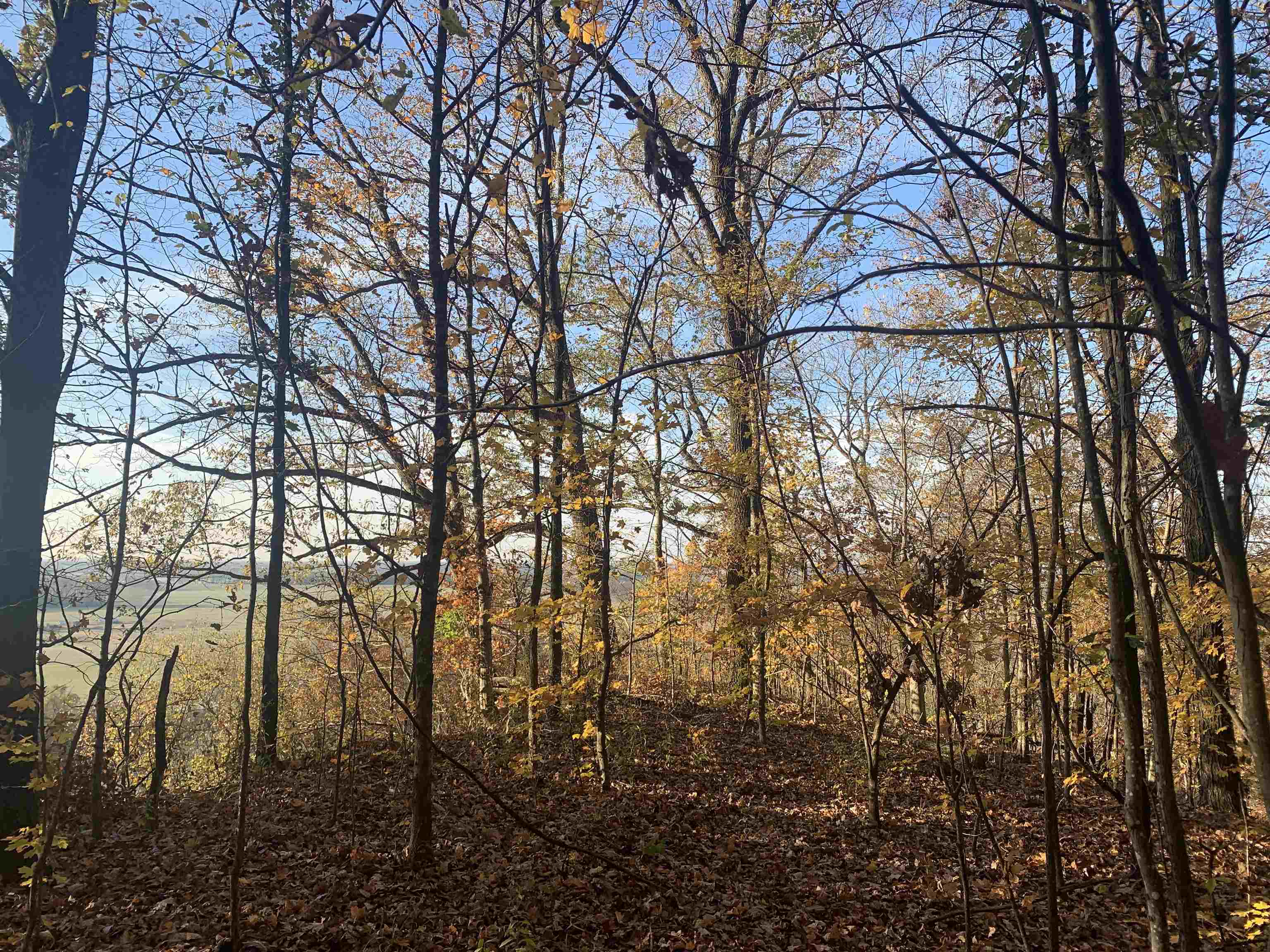 Ray Bluff Road Millington, TN 38053 - Photo 14 of 40 Gallery Image 14