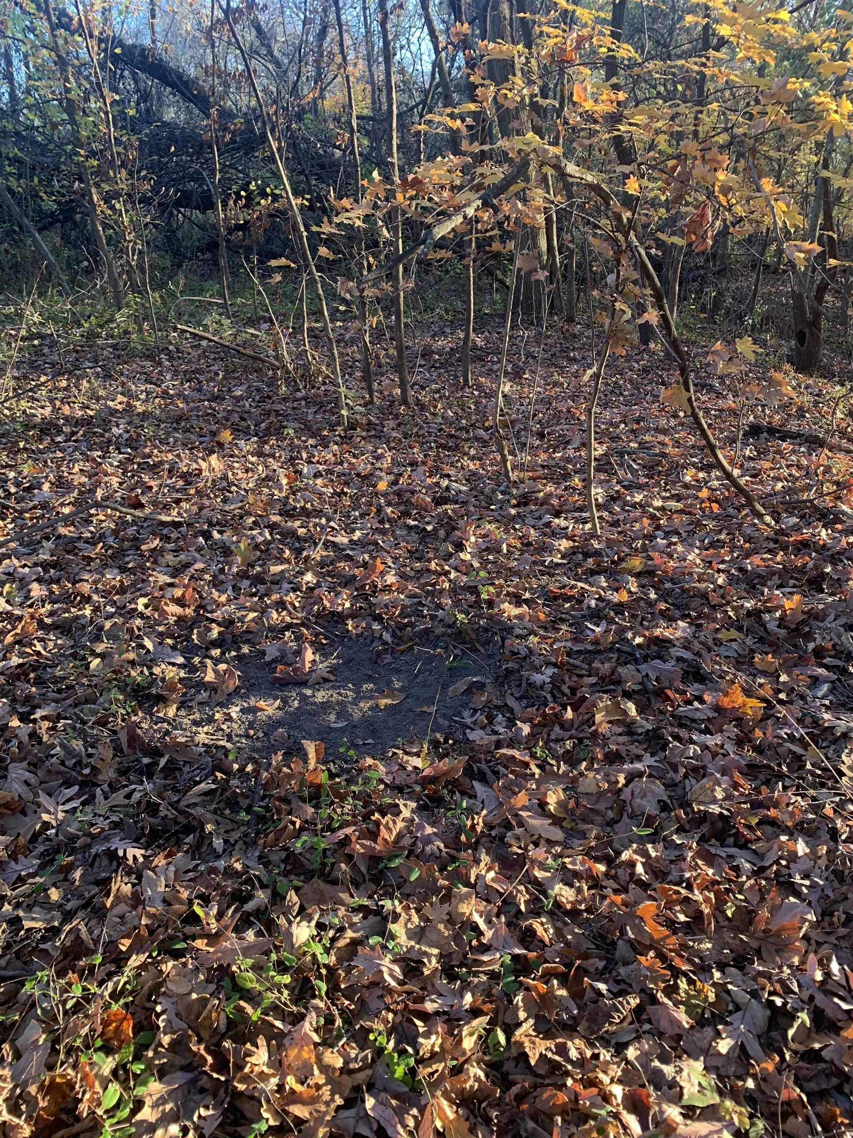 Ray Bluff Road Millington, TN 38053 - Photo 19 of 40 Gallery Image 19