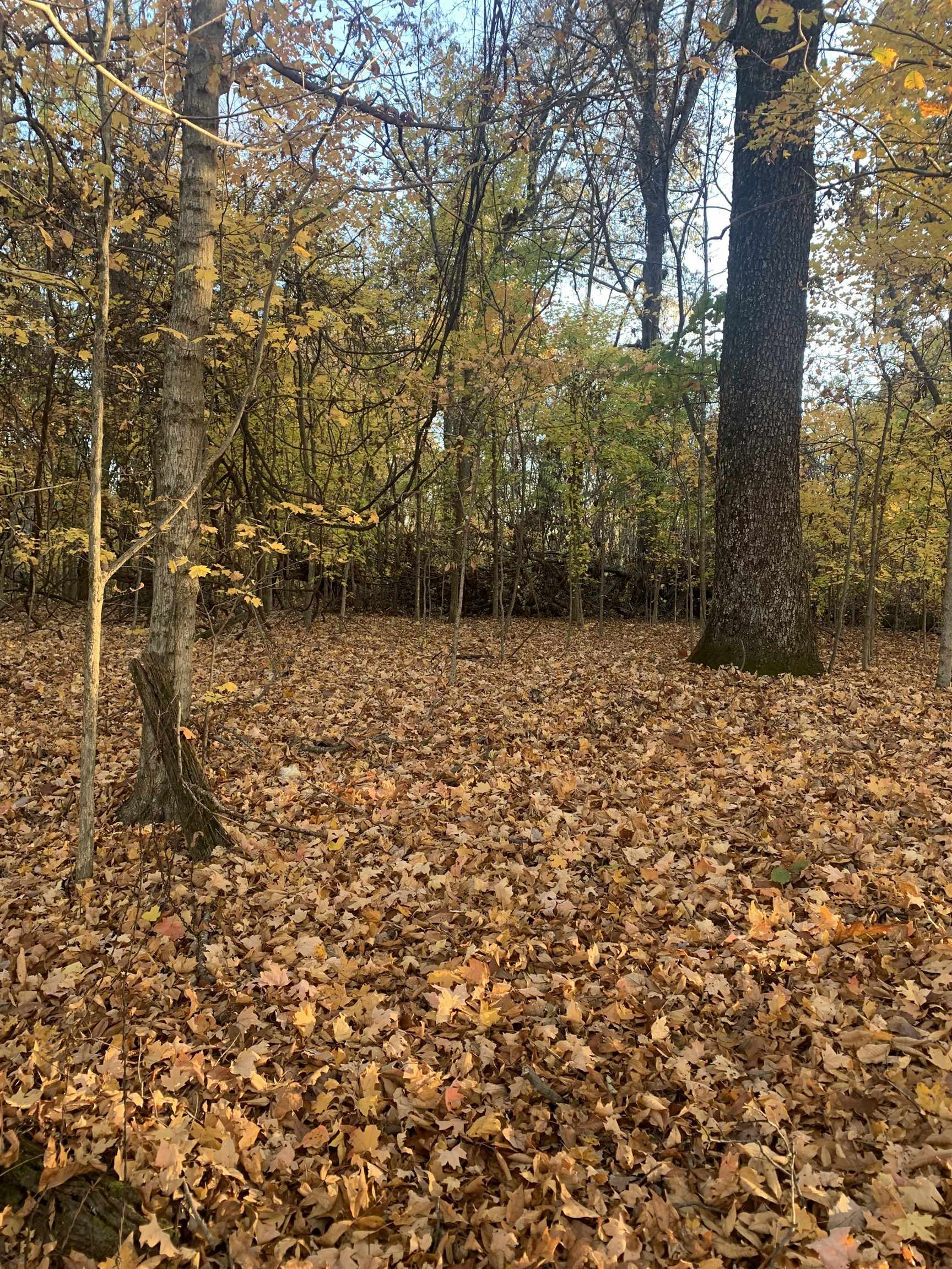 Ray Bluff Road Millington, TN 38053 - Photo 24 of 40 Gallery Image 24