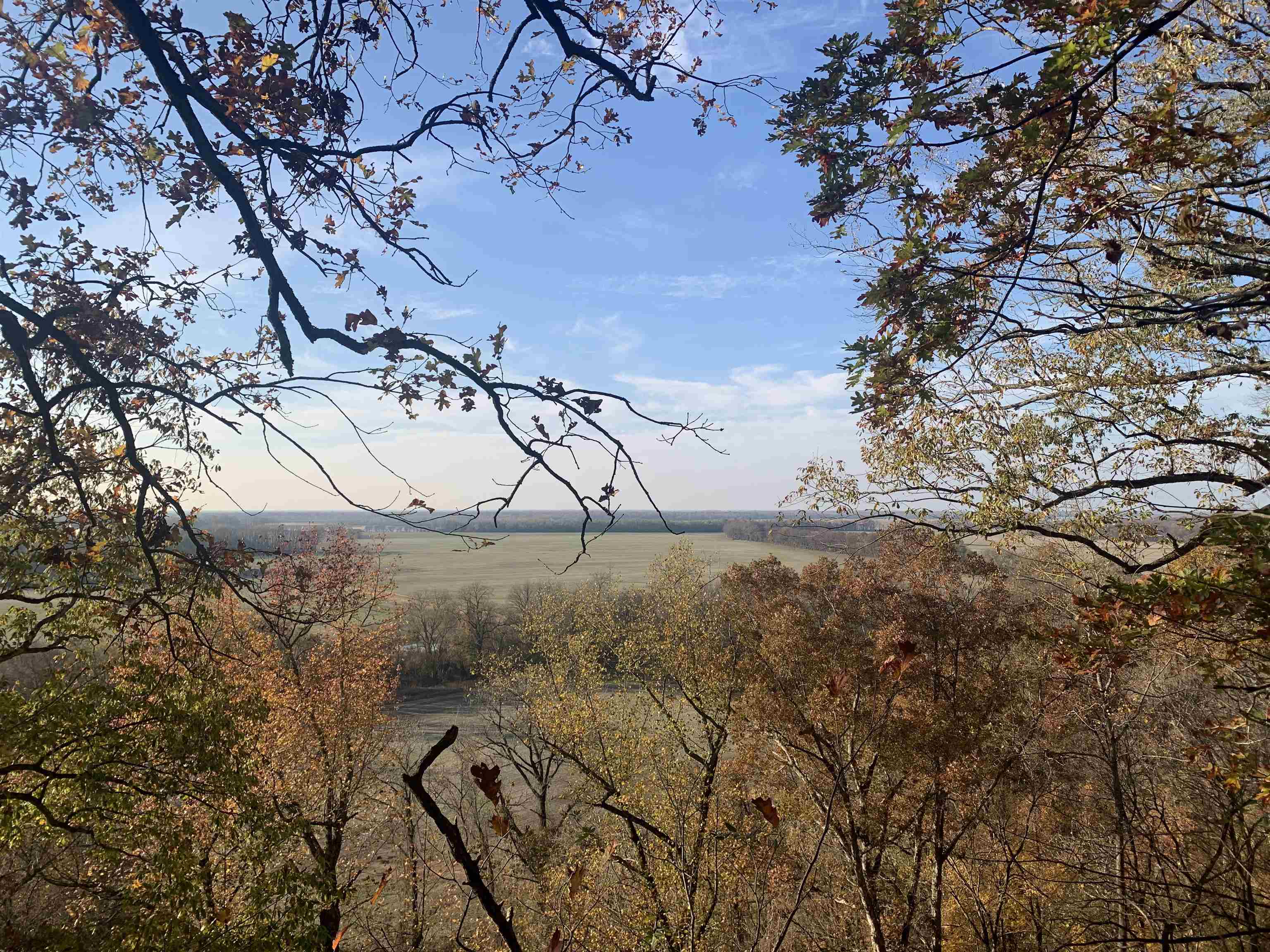 Ray Bluff Road Millington, TN 38053 - Photo 3 of 40 Gallery Image 3