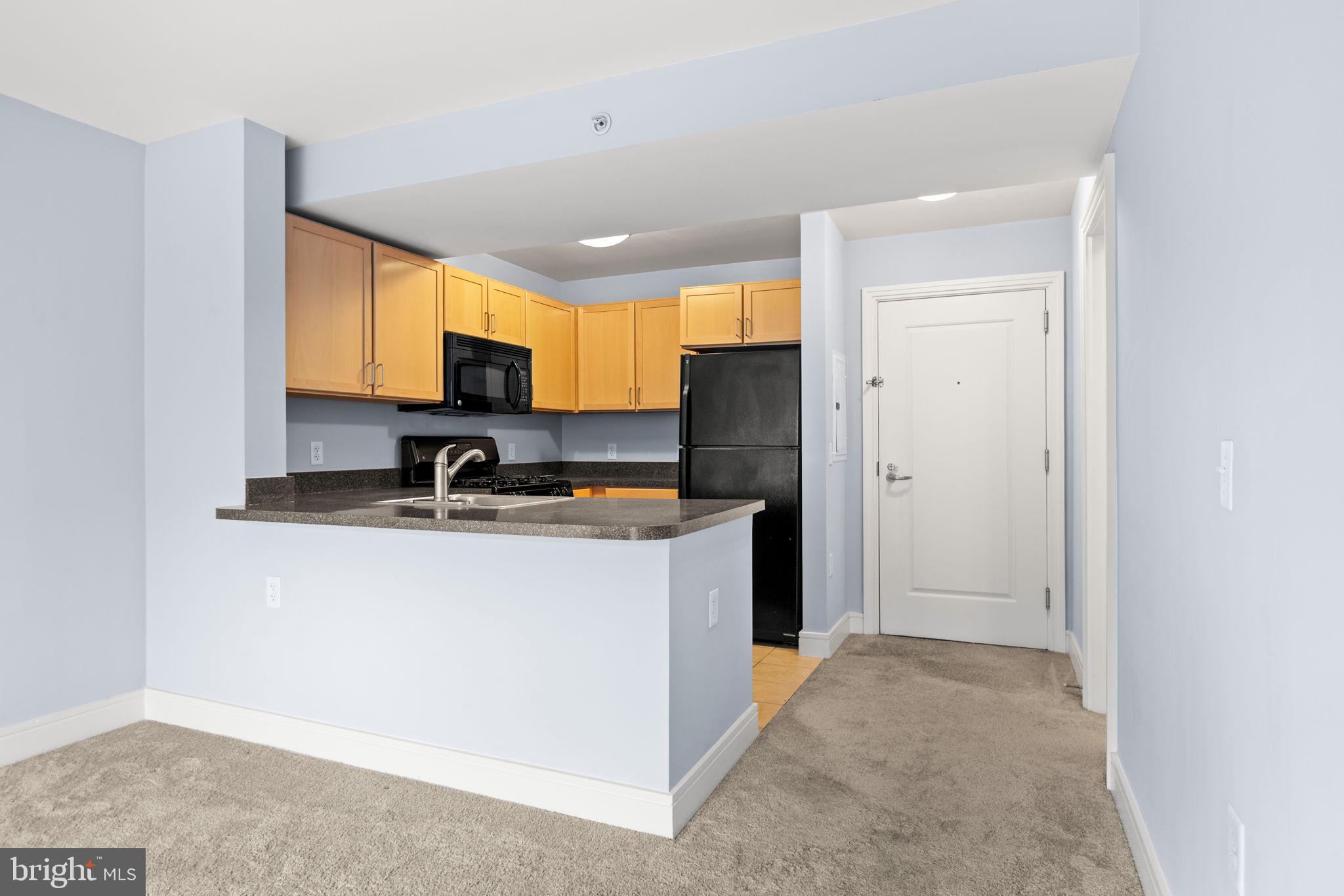 800 4th Street Southwest, Unit N307 Washington, DC 20024 - Photo 5 of 27
