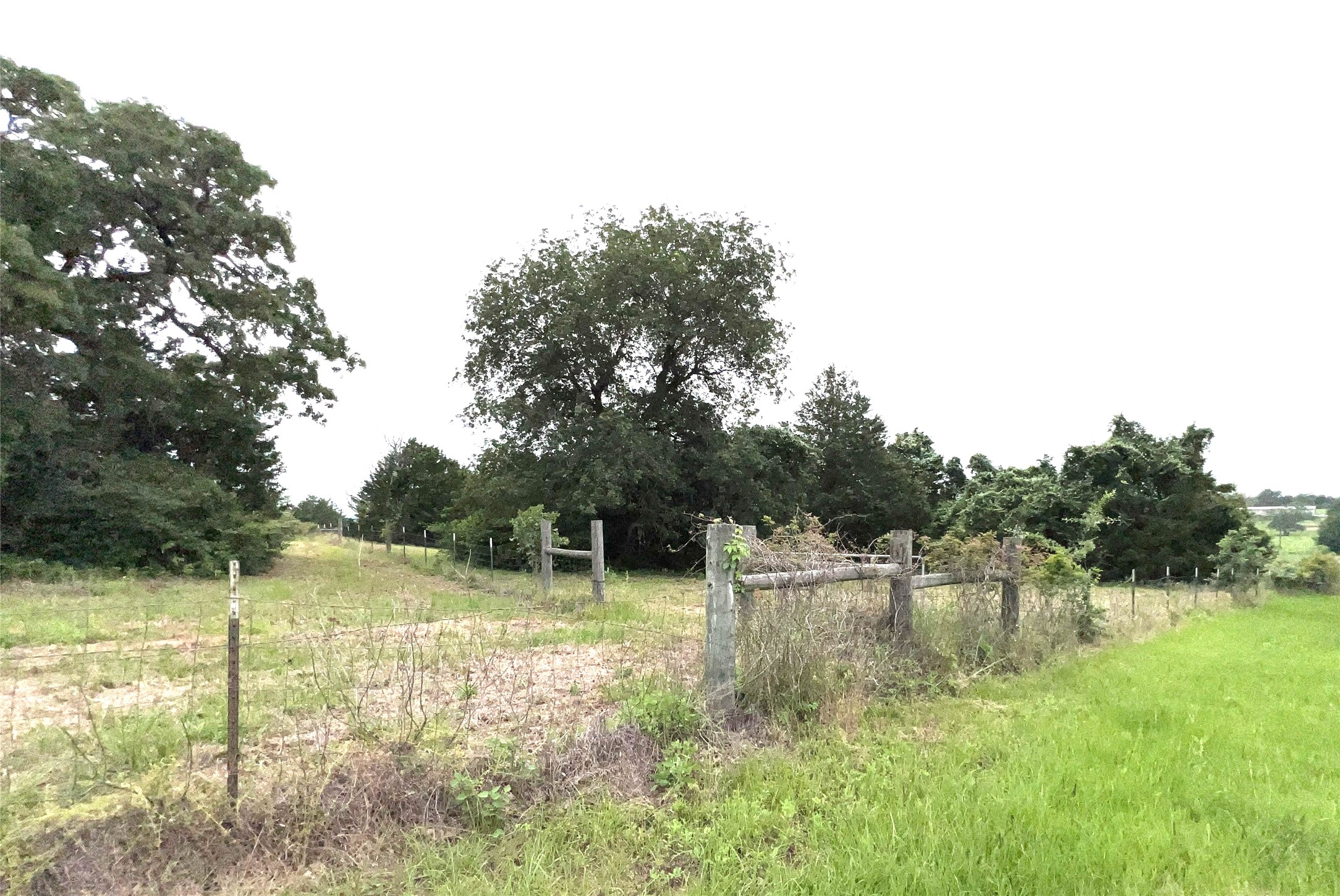 160 Rosanky Cattle Company Road, Unit R Smithville, TX 78957 - Photo 13 of 19 a view of a lake view