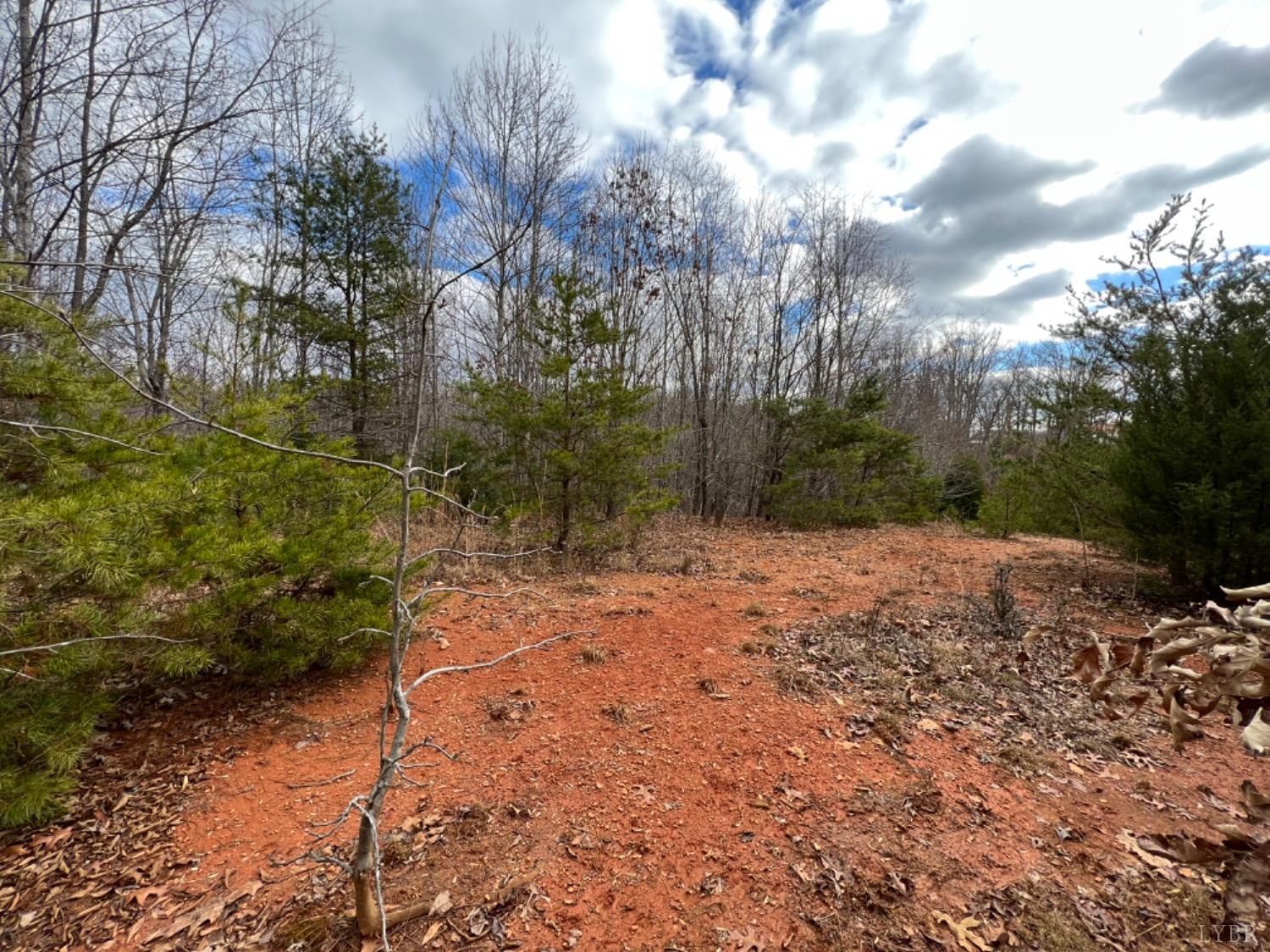 0 Stone Mill Road Hurt, VA 24563 - Photo 15 of 25 a view of a yard with plants and trees
