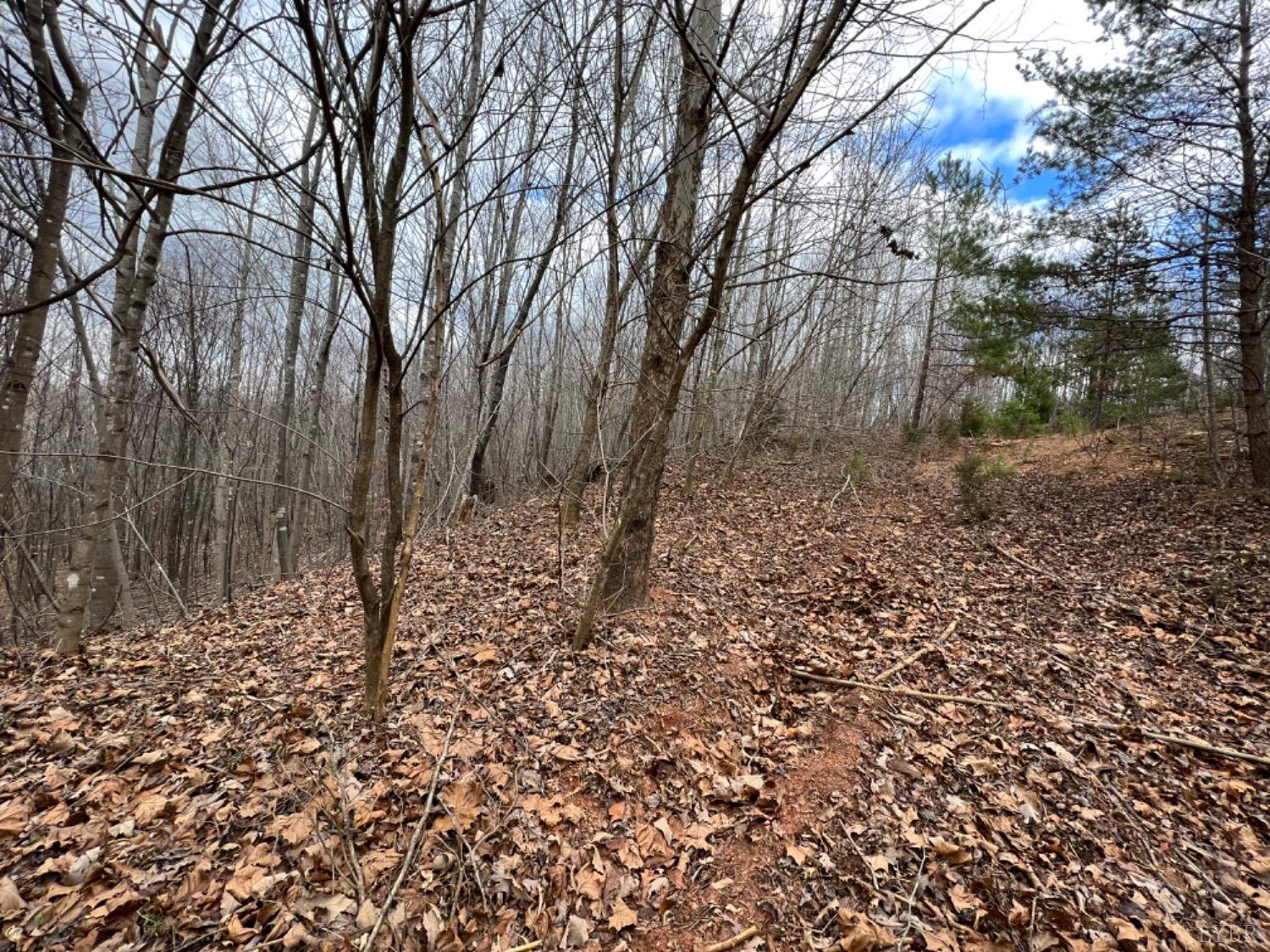 0 Stone Mill Road Hurt, VA 24563 - Photo 17 of 25 a big yard with lots of green space