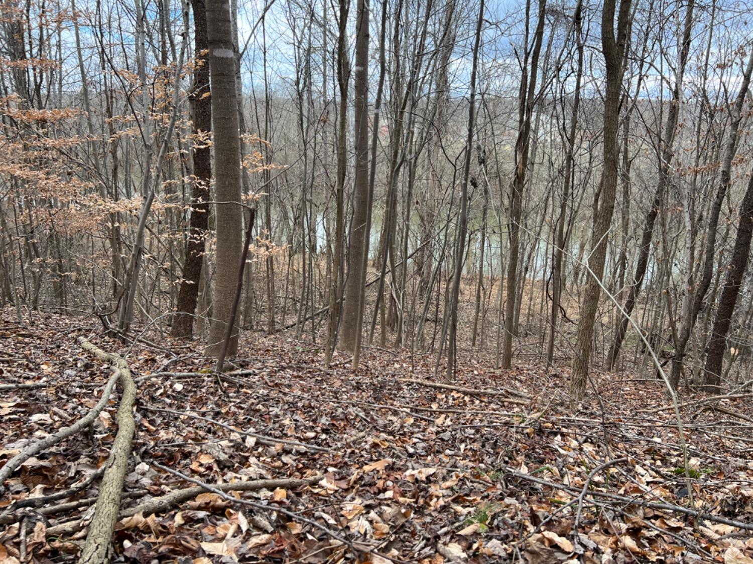 0 Stone Mill Road Hurt, VA 24563 - Photo 19 of 25 a view of a backyard of the house