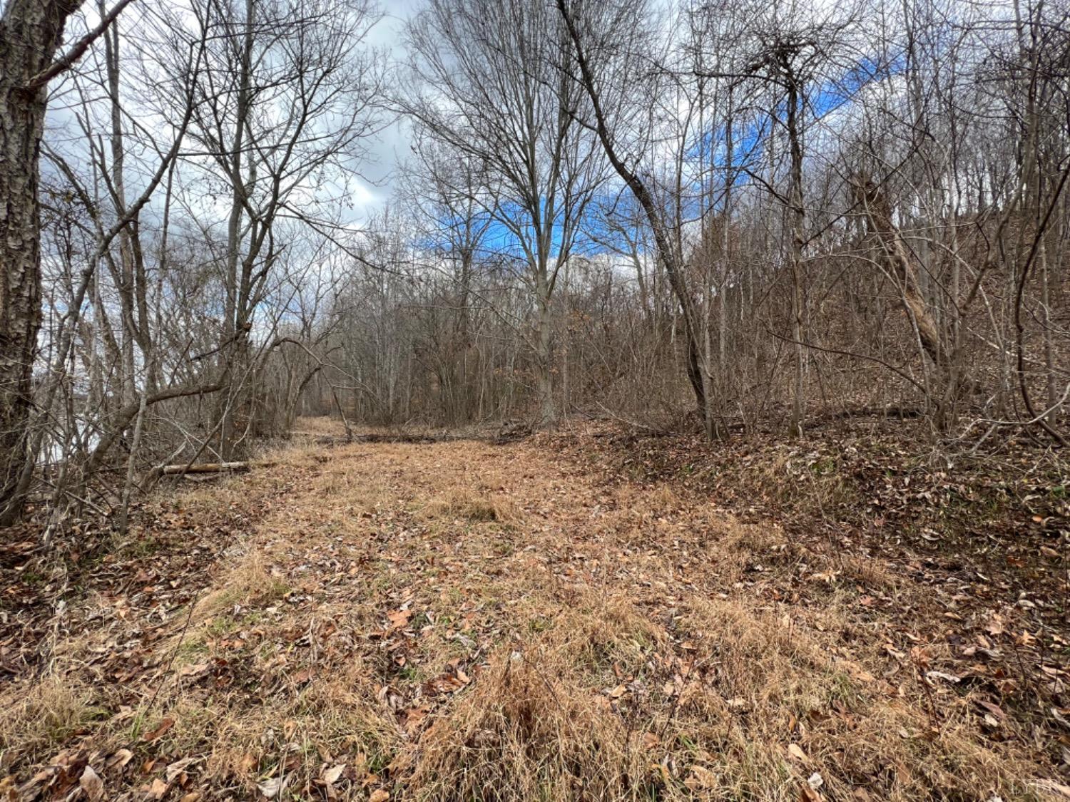 0 Stone Mill Road Hurt, VA 24563 - Photo 22 of 25 a view of backyard with tree
