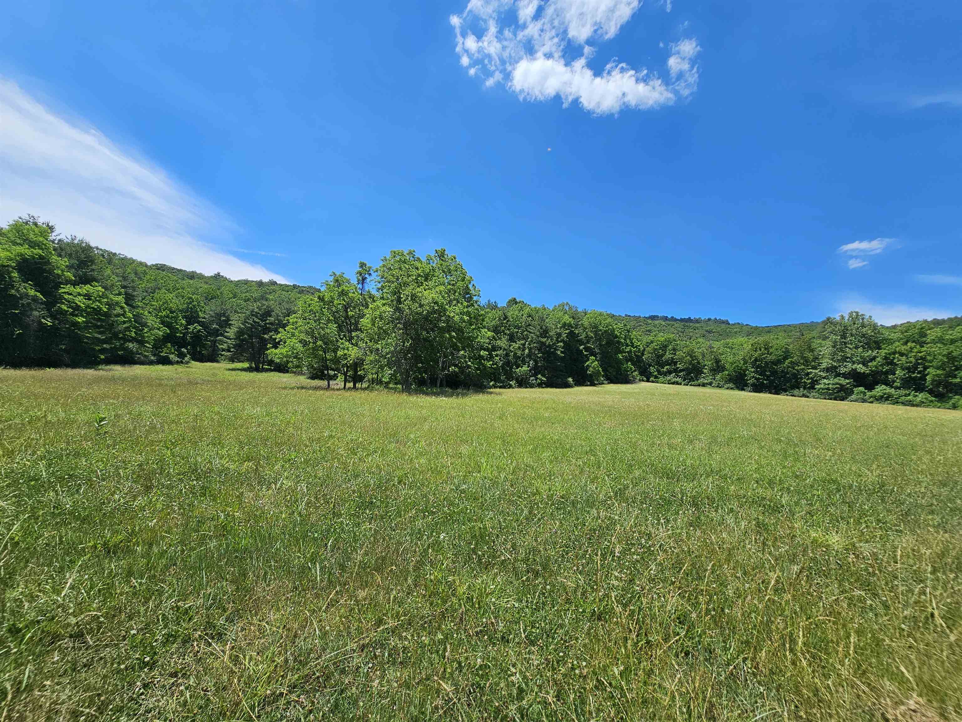 2105 Coles Mountain Road Covington, VA 24426 - Photo 36 of 66