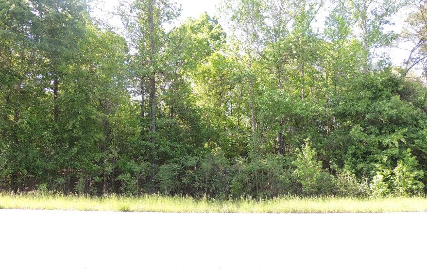 0 Causey Road Knoxville, GA 31050 - Photo 1 of 3 a view of a yard