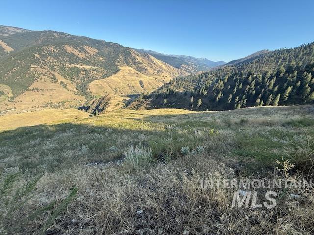 144 Chukar Road Pollock, ID 83547 - Photo 3 of 9
