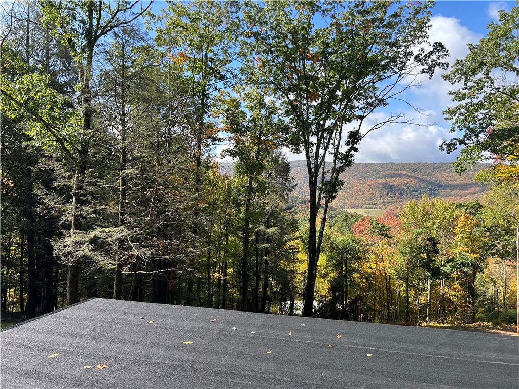 605 Weaver Avenue Andes, NY 13731 - Photo 23 of 38