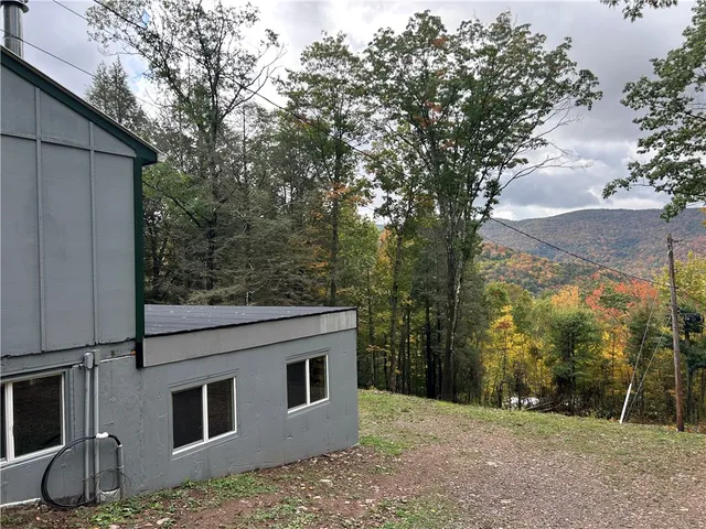 $325,000 | 605 Weaver Avenue, Andes, NY 13731