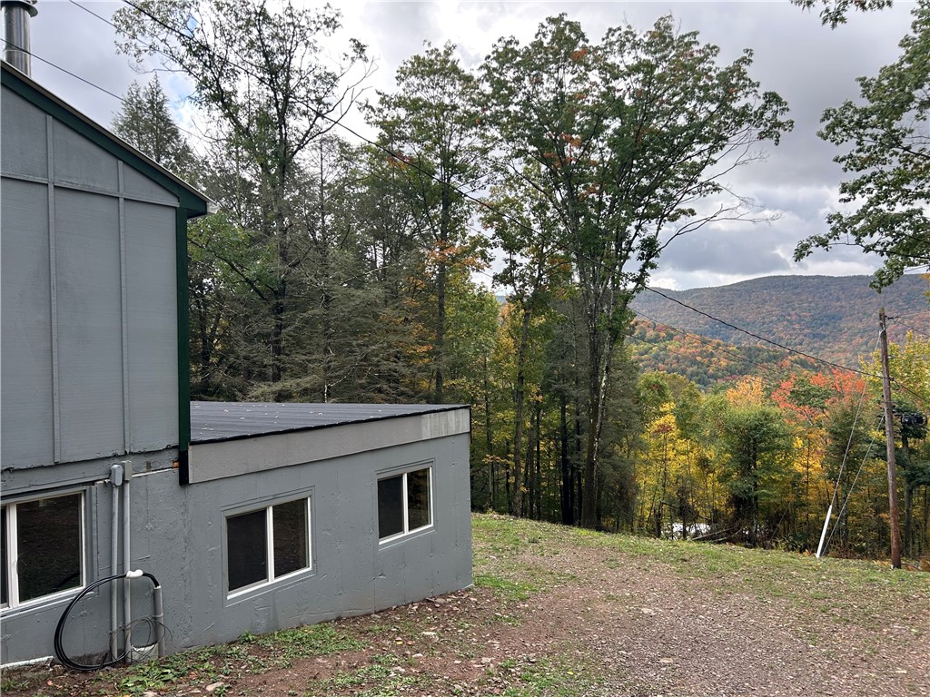 605 Weaver Avenue Andes, NY 13731 - Photo 6 of 38