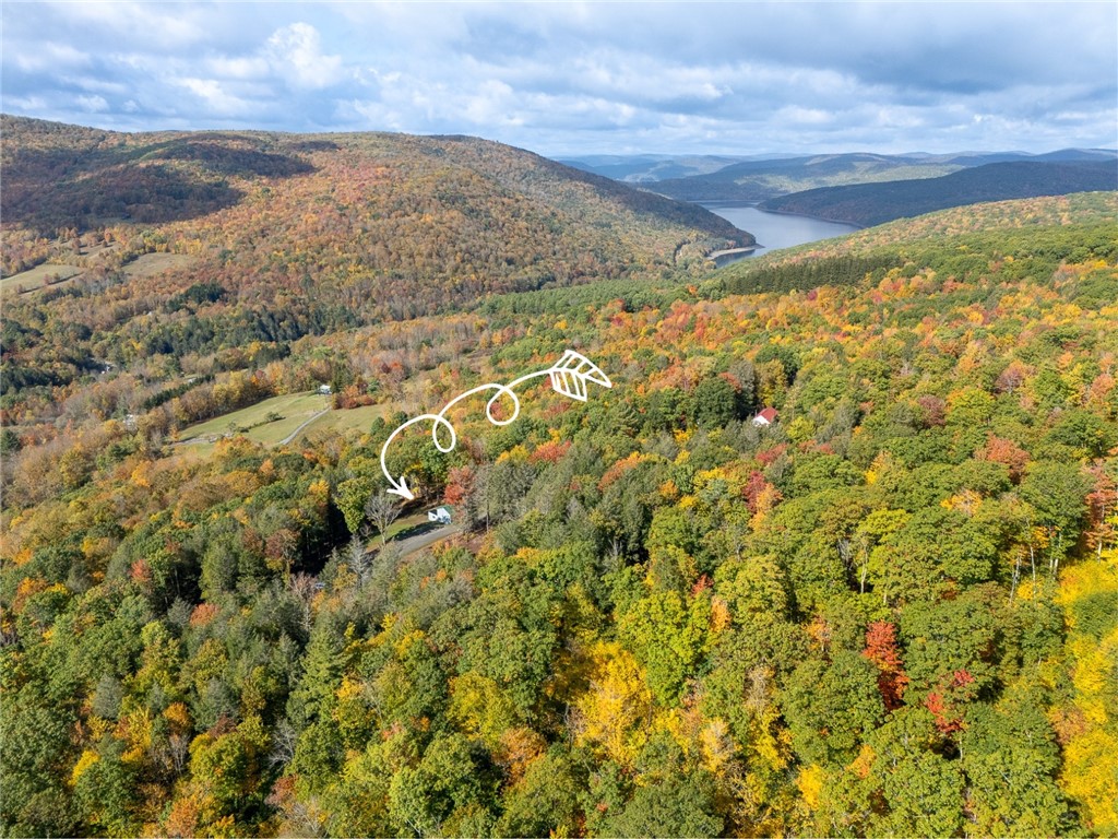 605 Weaver Avenue Andes, NY 13731 - Photo 7 of 38