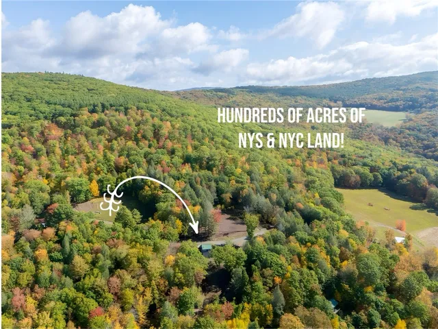 $325,000 | 605 Weaver Avenue, Andes, NY 13731