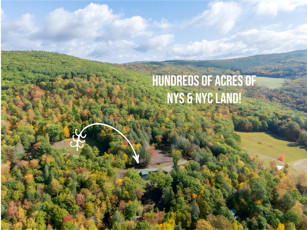 605 Weaver Avenue Andes, NY 13731 - Photo 8 of 38