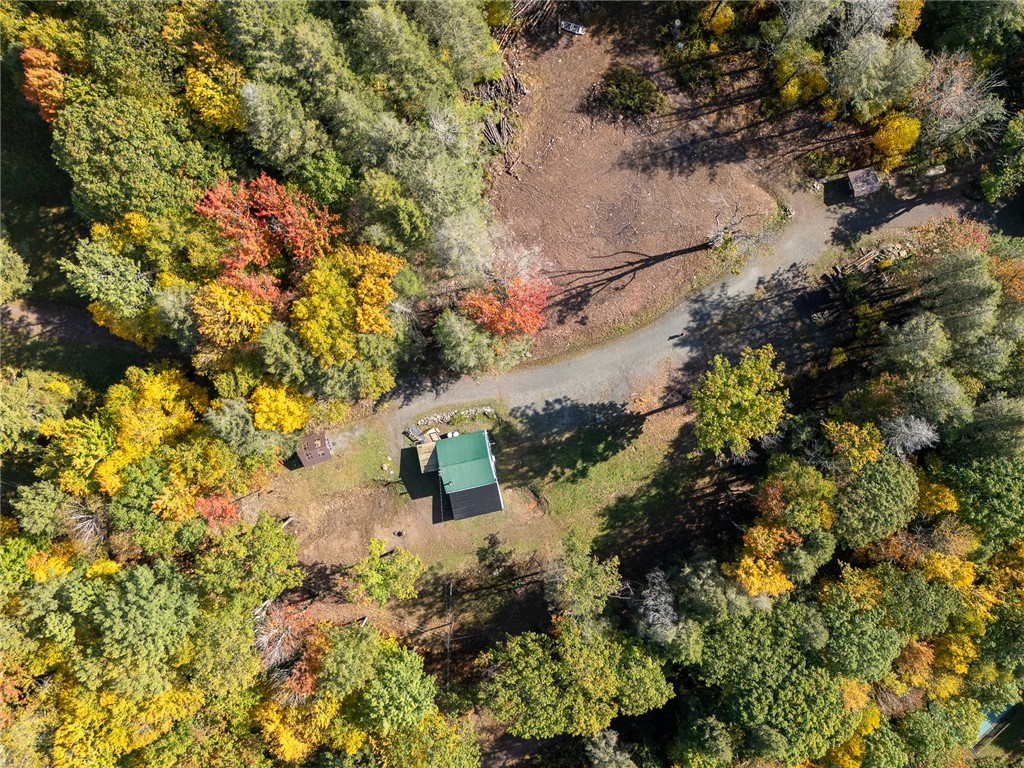 605 Weaver Avenue Andes, NY 13731 - Photo 9 of 38