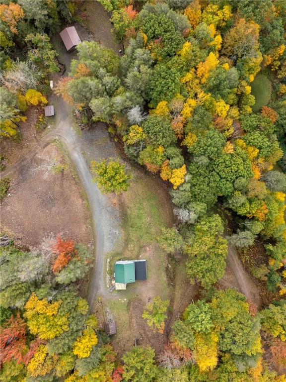 605 Weaver Avenue Andes, NY 13731 - Photo 10 of 38