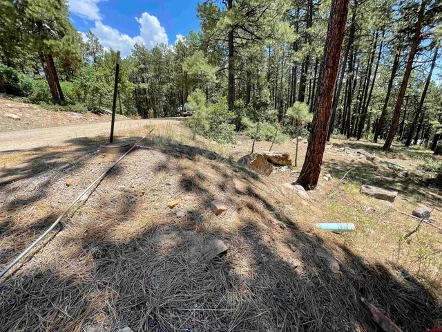 a view of a yard with a tree