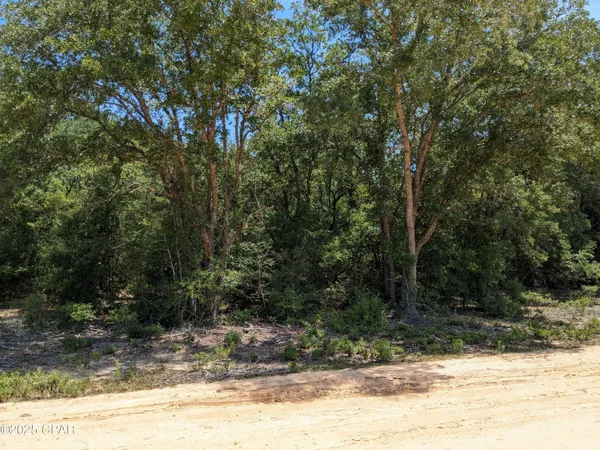$10,900 | 0 Cherry Circle, Marianna, FL 32448