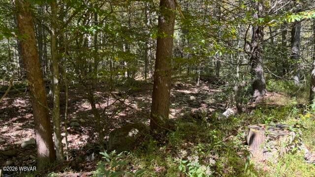 2458 Pleasant Stream Road Trout Run, PA 17771 - Photo 13 of 28 Gallery Image 13
