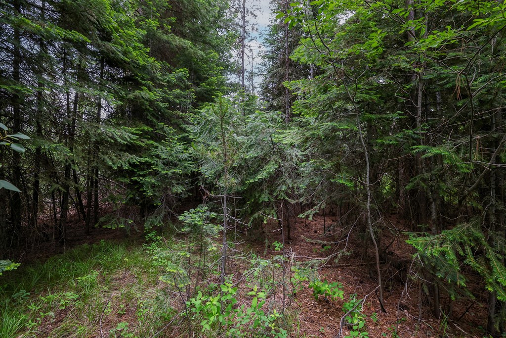 431 Timbercrest Loop, Unit 4 McCall, ID 83638 - Photo 16 of 28