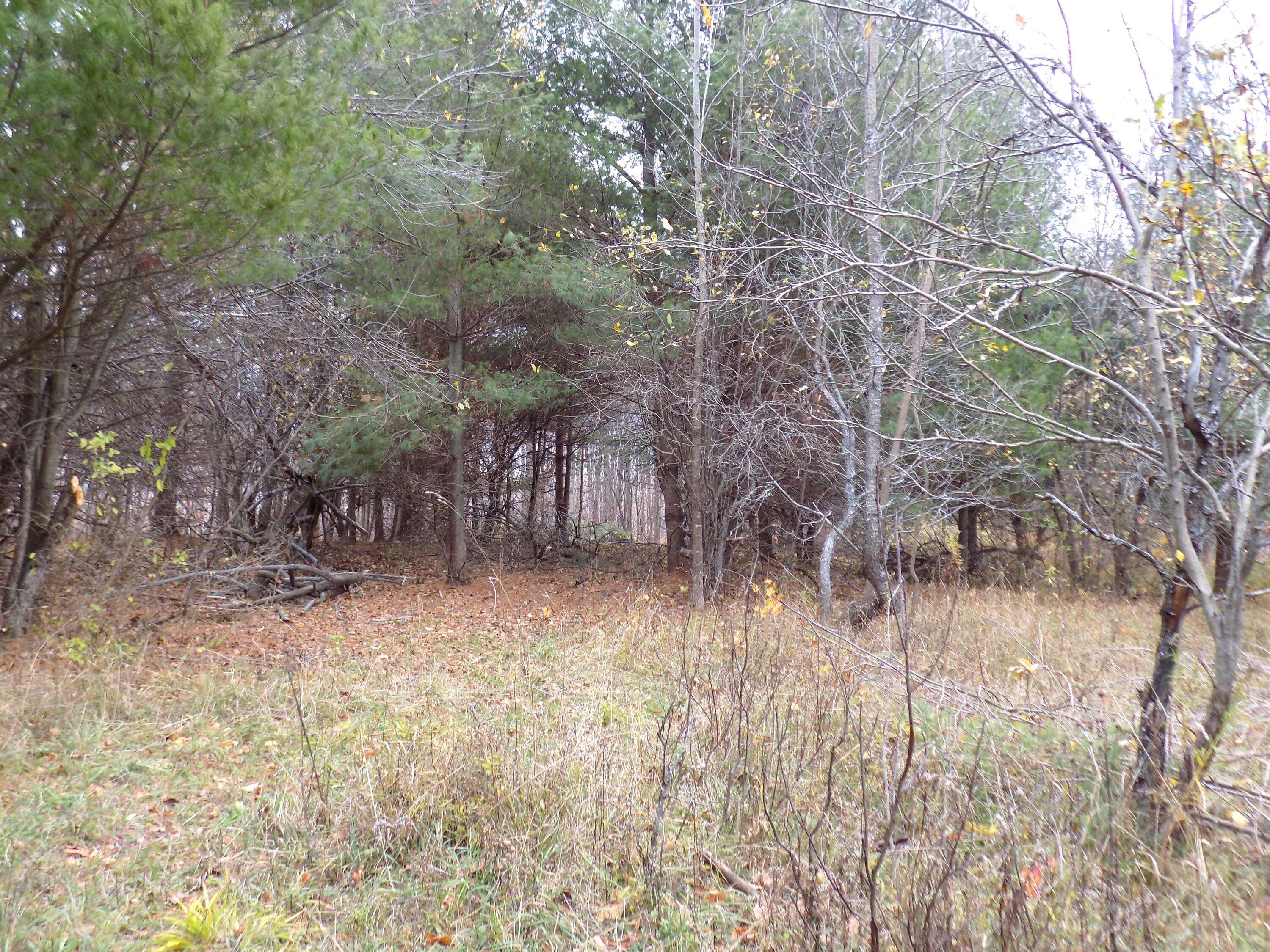 2768 Division Road Pellston, MI 49769 - Photo 12 of 15 Gallery Image 12