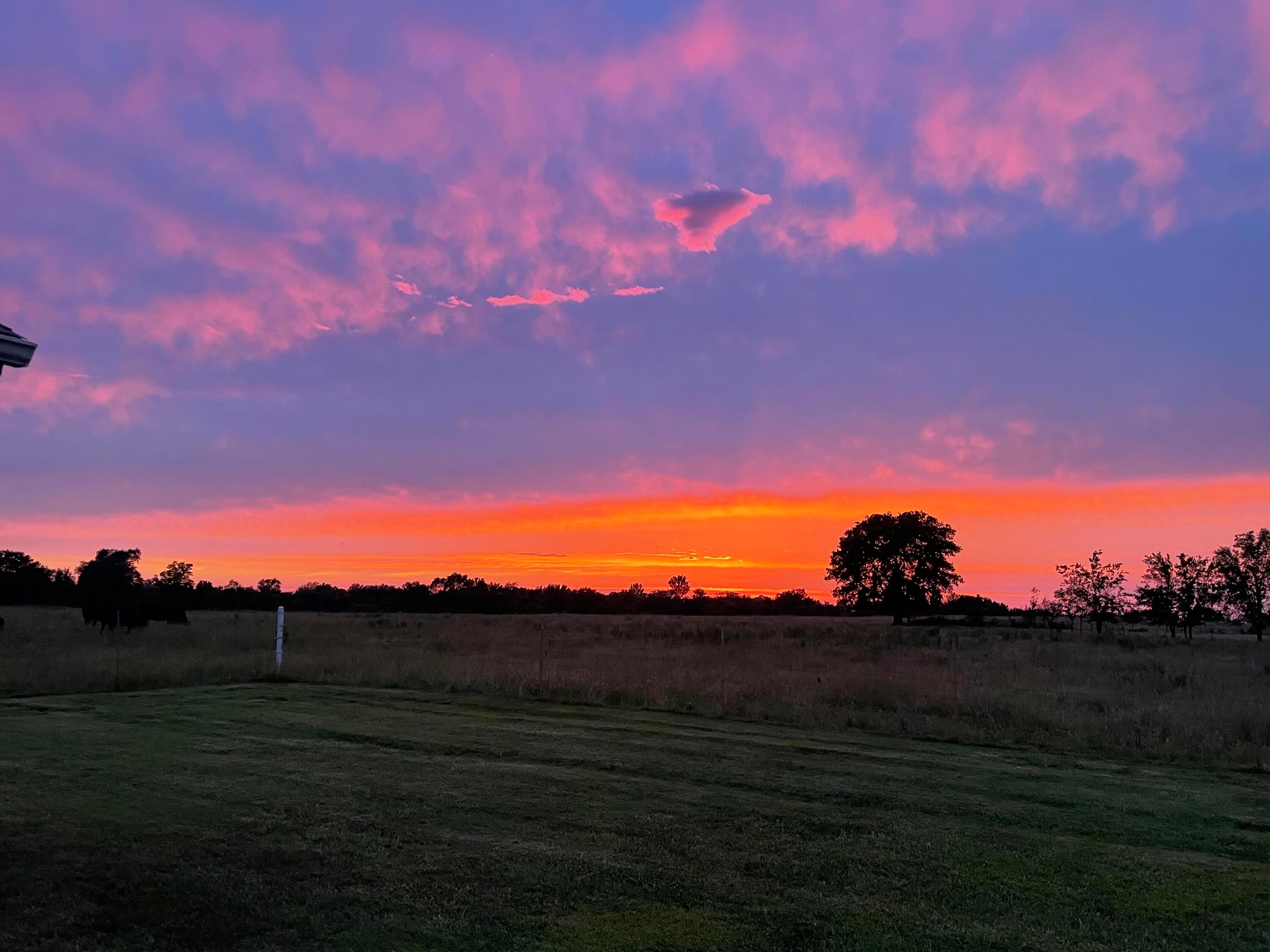 439990 East 180 Road Bluejacket, OK 74333 - Photo 45 of 46 Sunset