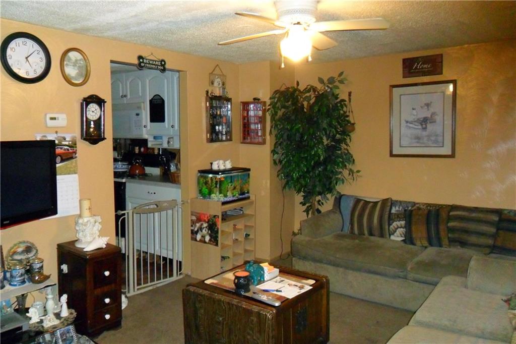 539 Evergreen Road Millvale, PA 15209 - Photo 8 of 11 Cozy living room with ceiling fan adjoins the updated white kitchen.