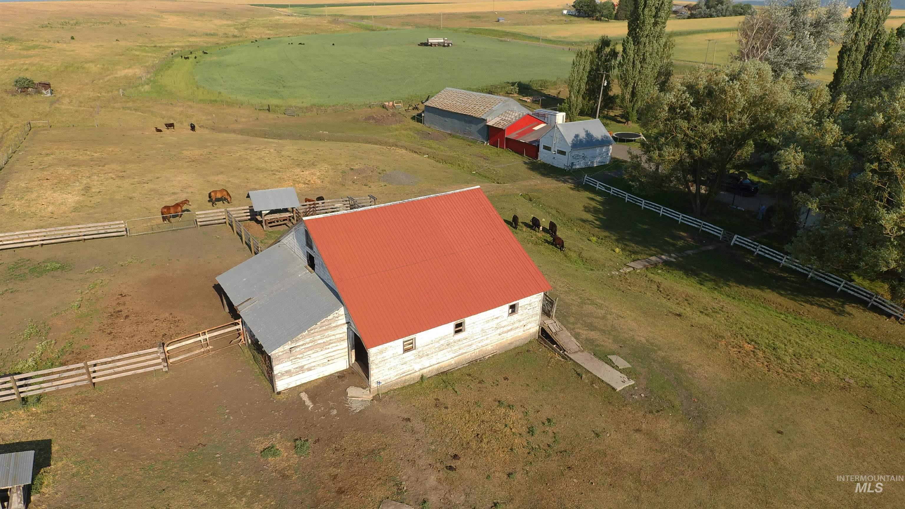 67 Jessup Road Grangeville, ID 83530 - Photo 9 of 49 Barn structure with a red roof, multiple fenced enclosures, surrounding green pasture, additional outbuildings, and mature trees
