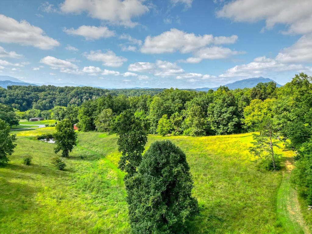 0 Lewelling Road Sevierville, TN 37862 - Photo 9 of 22