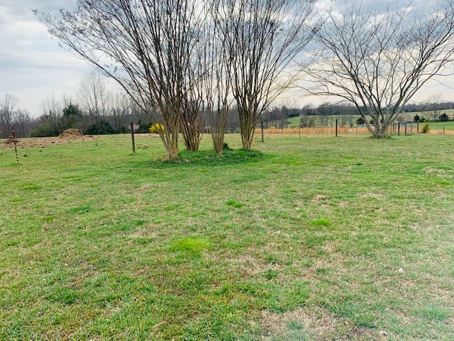14 North George Road Flintville, TN 37335 - Photo 37 of 48 a view of a park with large trees