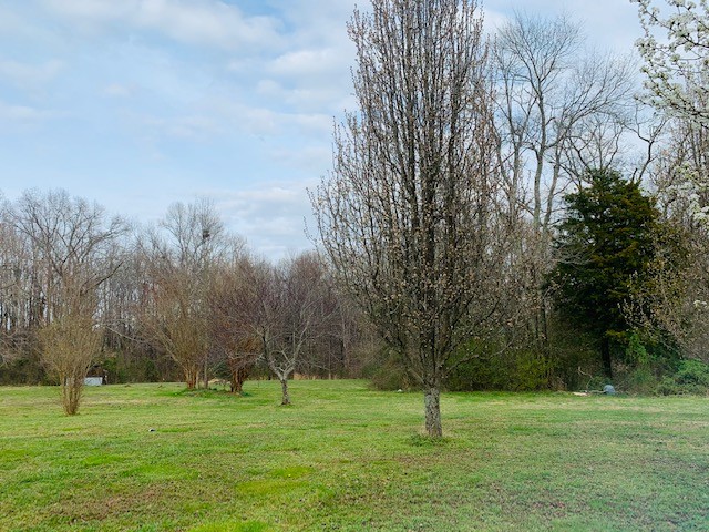 14 North George Road Flintville, TN 37335 - Photo 38 of 48 a garden view