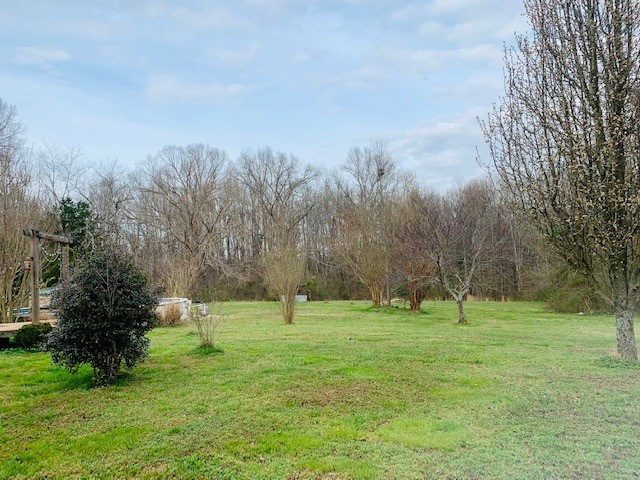 14 North George Road Flintville, TN 37335 - Photo 44 of 48 a big yard with lots of green space and trees