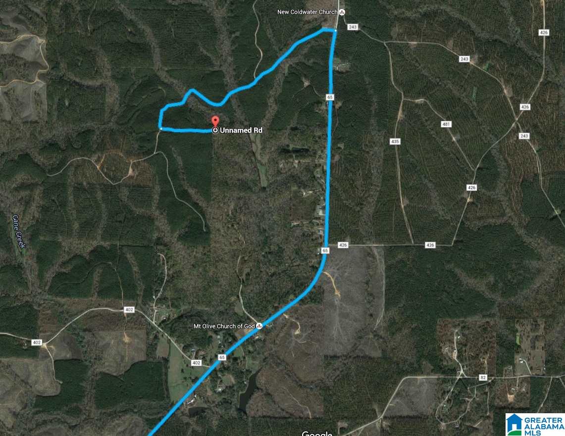 0 County Road 65, Unit 8 Fruithurst, AL 36262 - Photo 3 of 3