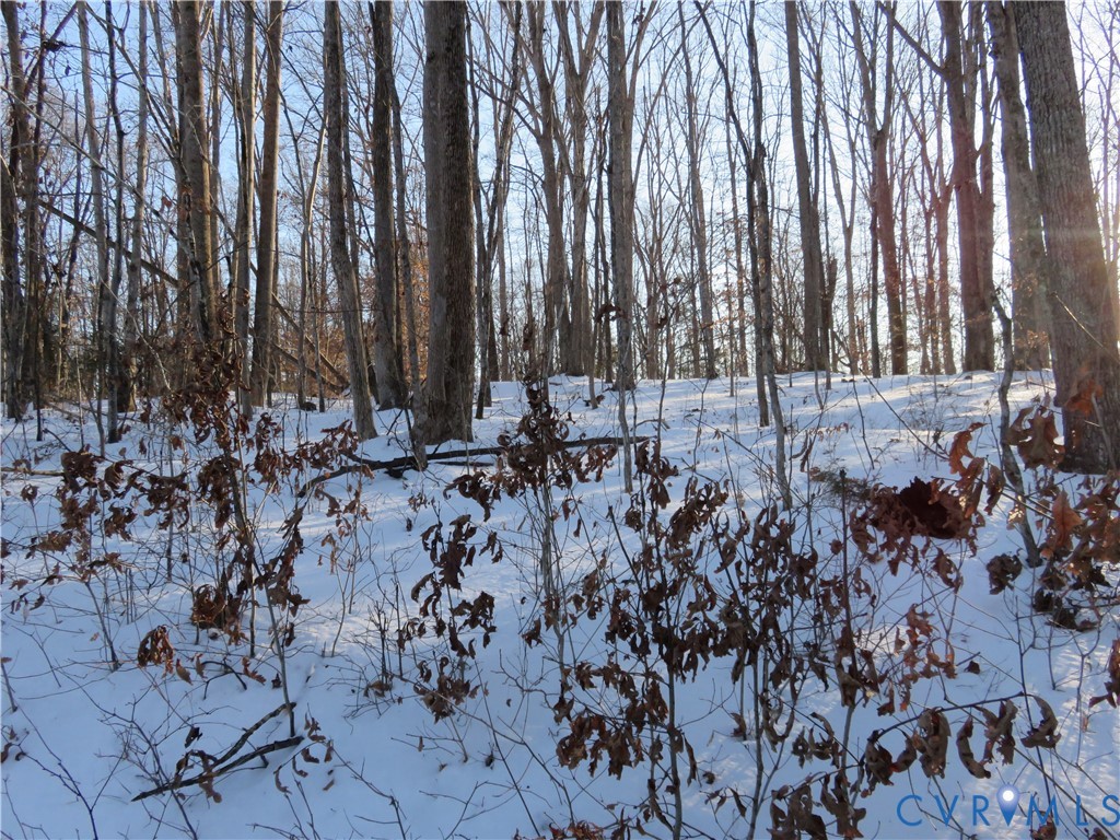 Tbd Hackney Road Goochland, VA 23063 - Photo 9 of 10