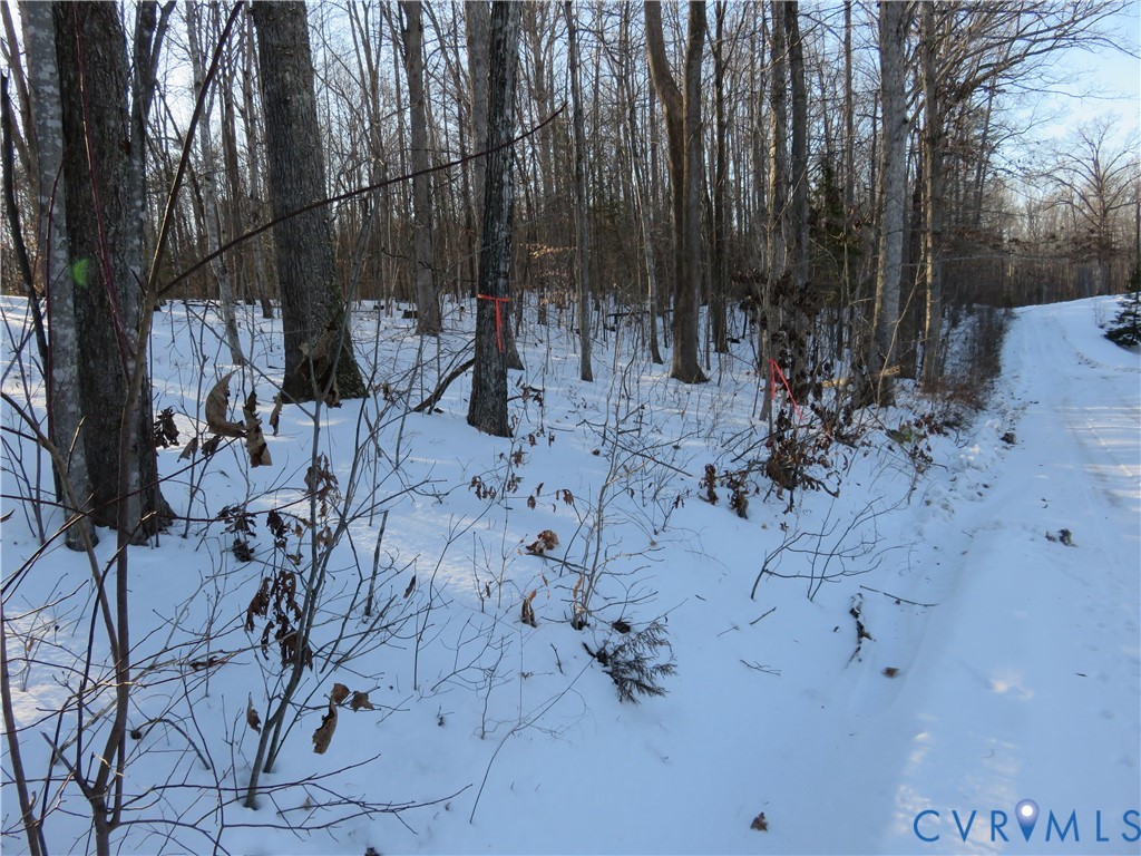 Tbd Hackney Road Goochland, VA 23063 - Photo 10 of 10 Approximate location where land ends along road.