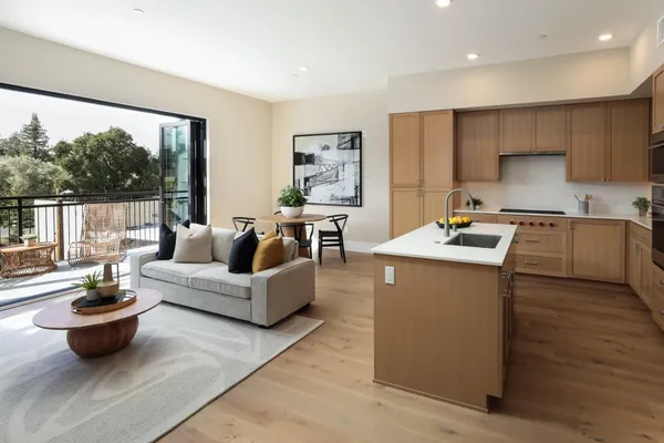 a living room with furniture a rug potted plant and a large window