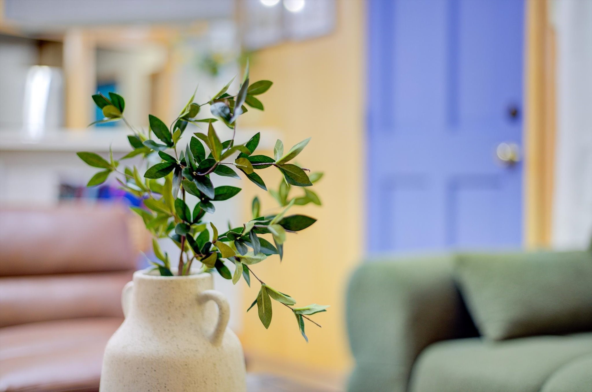 9825 Radio Road Houston, TX 77075 - Photo 43 of 50 a view of a plant with a plant