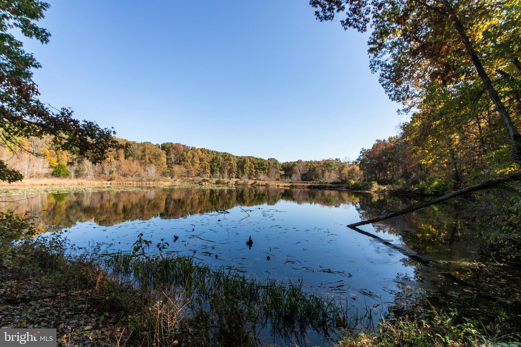 2198 Beaver Dam Road Midland, VA 22728 - Photo 50 of 65 Great Fishing w/Bass, Blue Gill & Catfish!