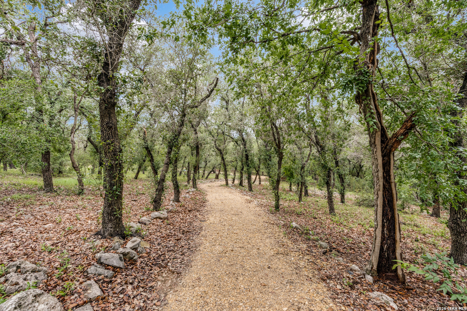 26206 Lewis Ranch Road New Braunfels, TX 78132 - Photo 44 of 51