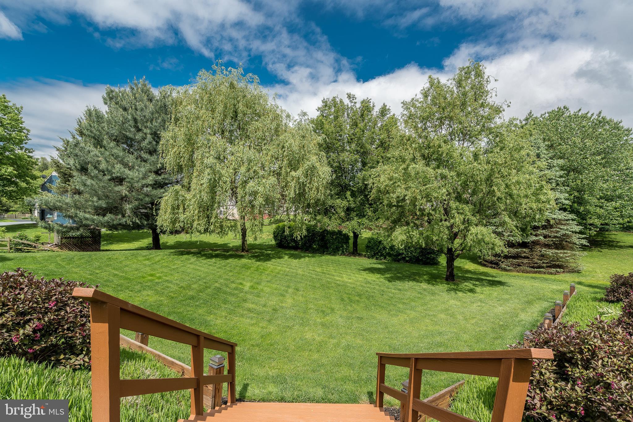 203 Queens Gate Road Lititz, PA 17543 - Photo 8 of 43 Large Lot, Mature Trees