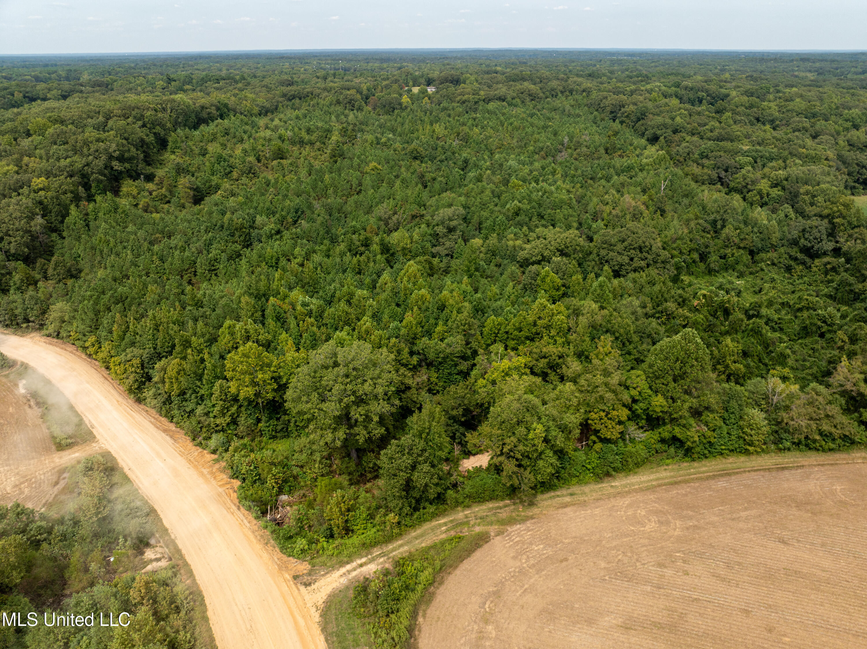 561 Boswell Road Holly Springs, MS 38635 - Photo 17 of 41 boswell-25