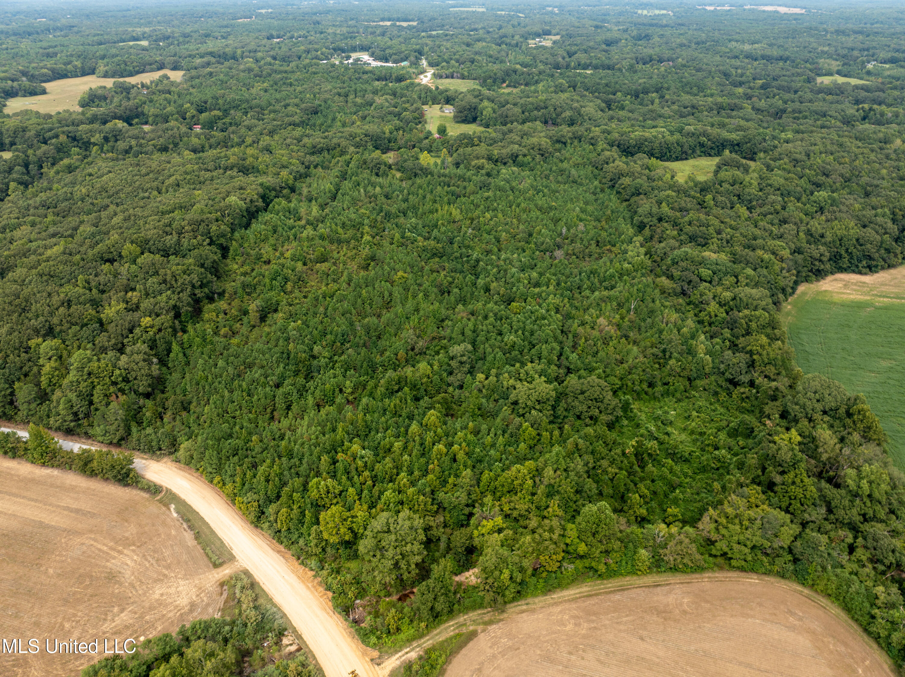 561 Boswell Road Holly Springs, MS 38635 - Photo 18 of 41 boswell-24